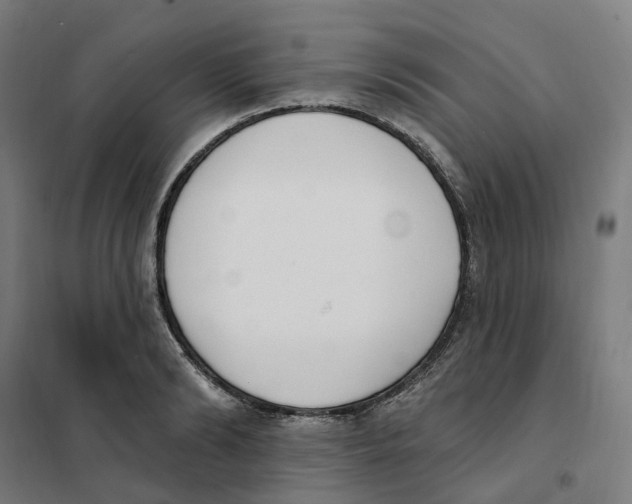 X0000101230894200807251131