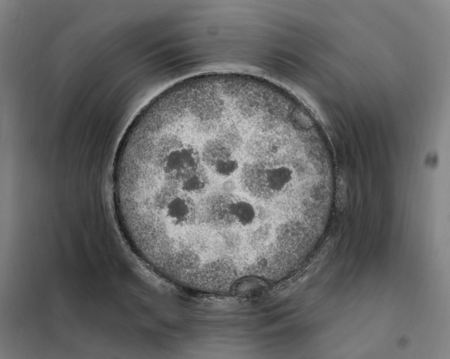 X0000101230895200807251131