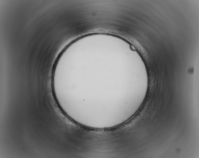 X0000101230896200807251131
