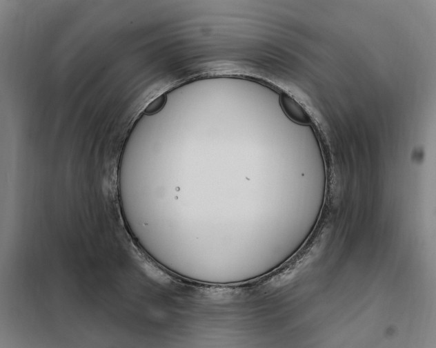 X0000101230897200807251131