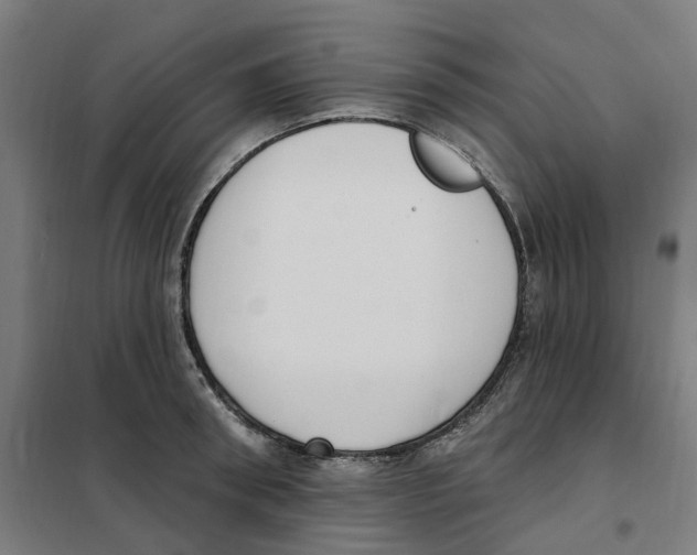 X0000101230898200807251131