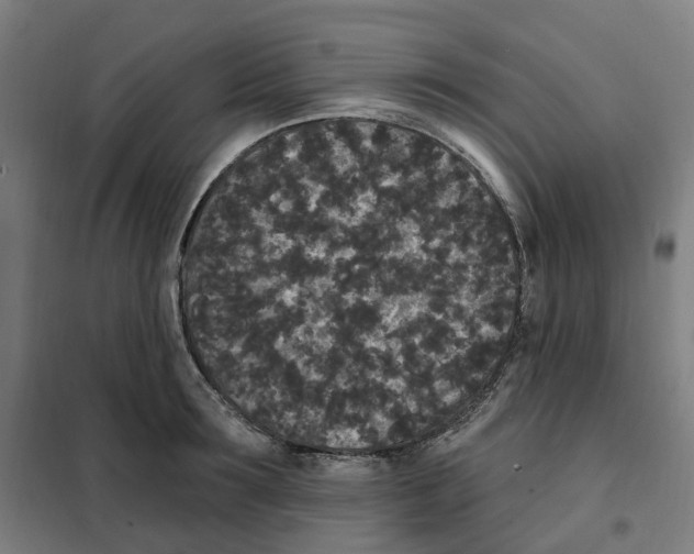 X0000101230899200807251131