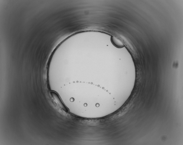 X0000101230900200807251131