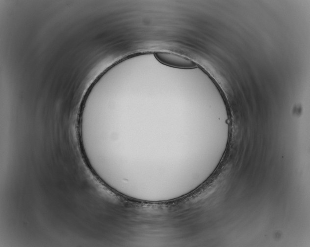 X0000101230901200807251131