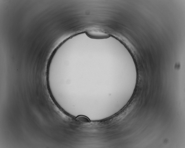 X0000101230902200807251131