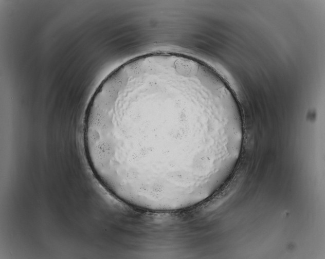 X0000101230903200807251131