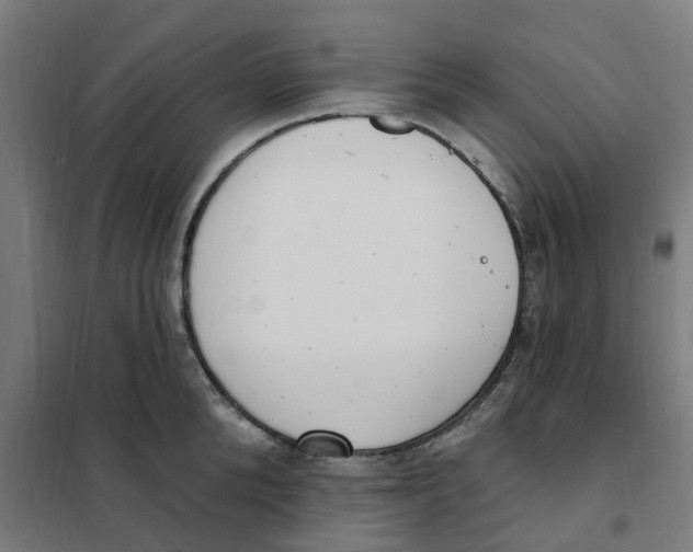 X0000101230904200807251131