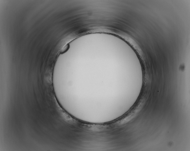 X0000101230905200807251131
