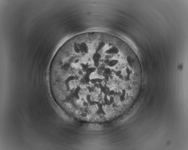 X0000101230907200807251131