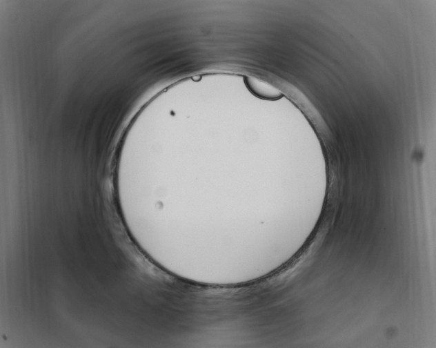 X0000101230908200807251131