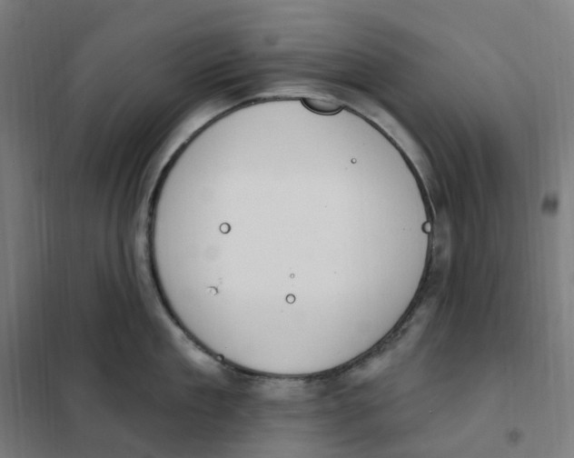 X0000101230909200807251131