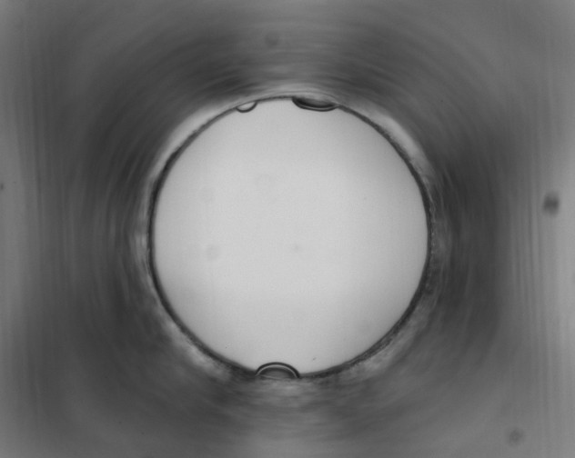 X0000101230910200807251131