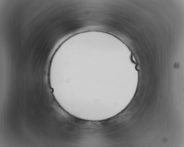 X0000101230912200807251131