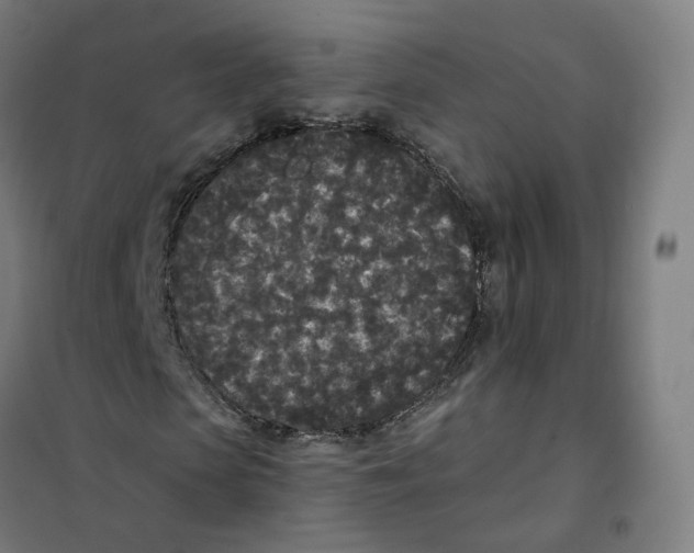 X0000101230913200807251130
