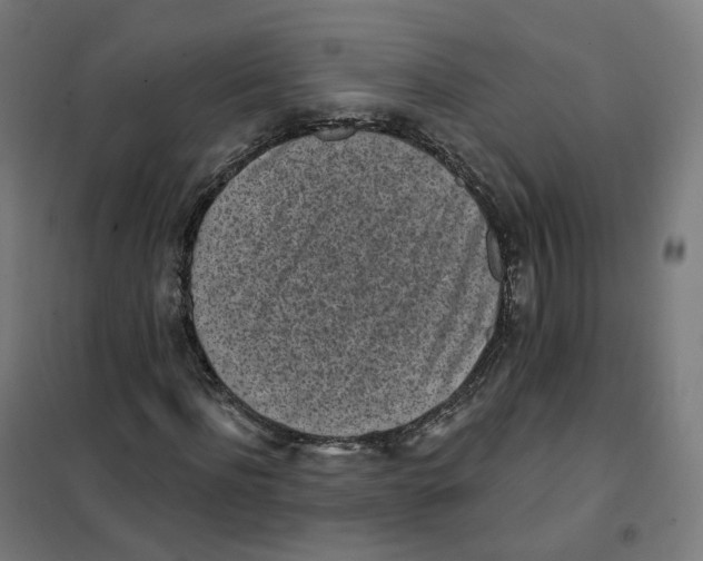 X0000101230916200807251130