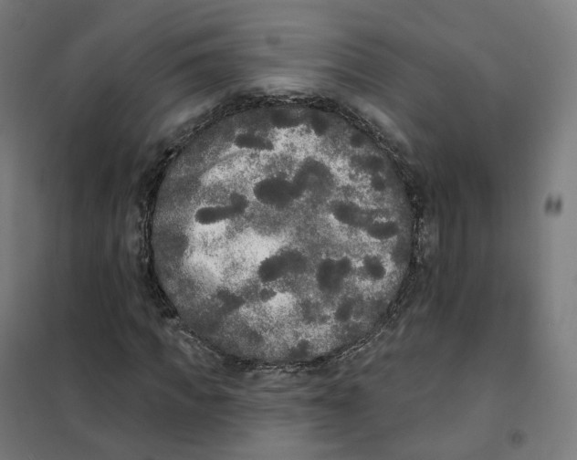 X0000101230917200807251130