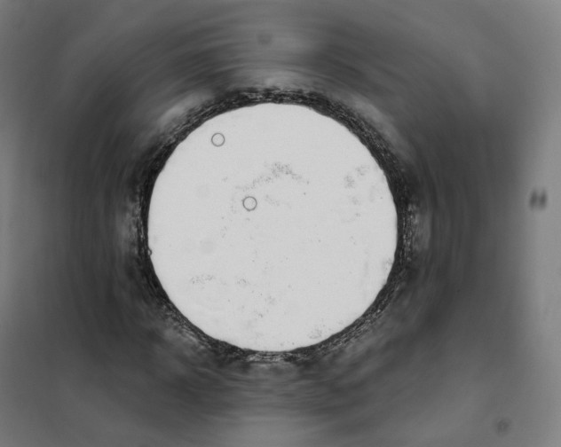 X0000101230918200807251130