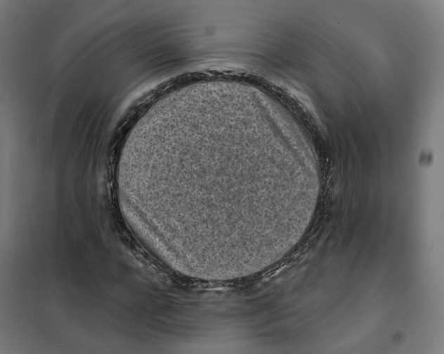 X0000101230920200807251131