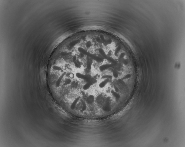 X0000101230921200807251131