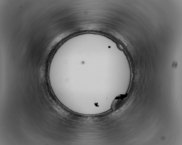 X0000101230922200807251131