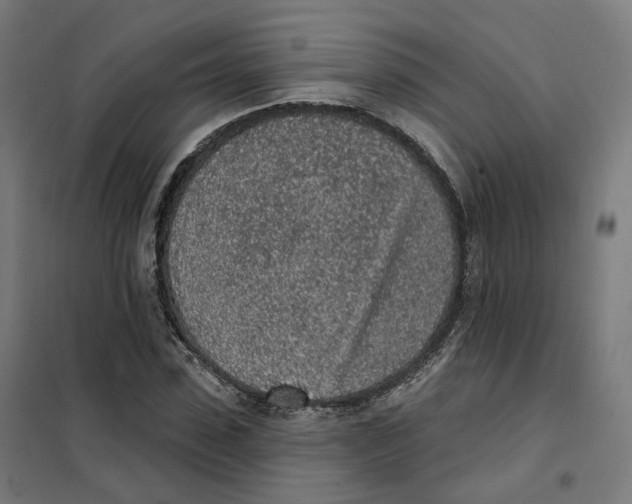 X0000101230923200807251131