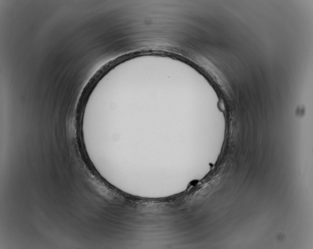 X0000101230924200807251131