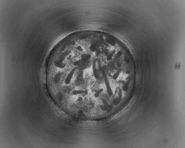 X0000101230925200807251131
