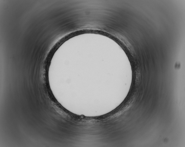 X0000101230926200807251131