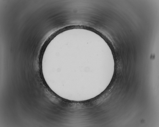 X0000101230927200807251131