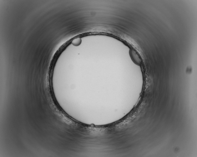 X0000101230928200807251131