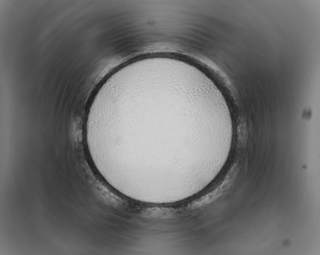 X0000101230929200807251131