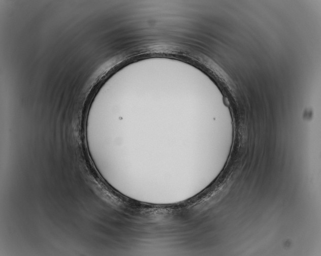 X0000101230930200807251131
