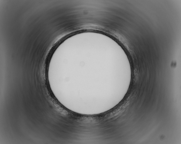 X0000101230931200807251131