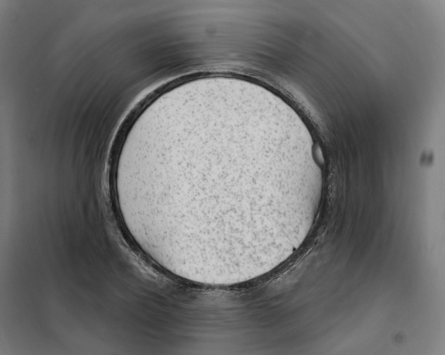 X0000101230932200807251131