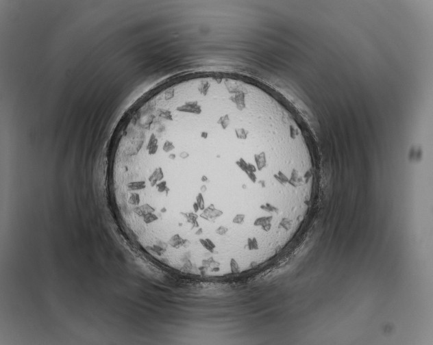 X0000101230933200807251131