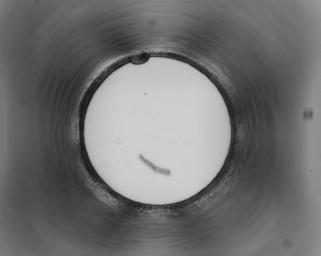 X0000101230934200807251131