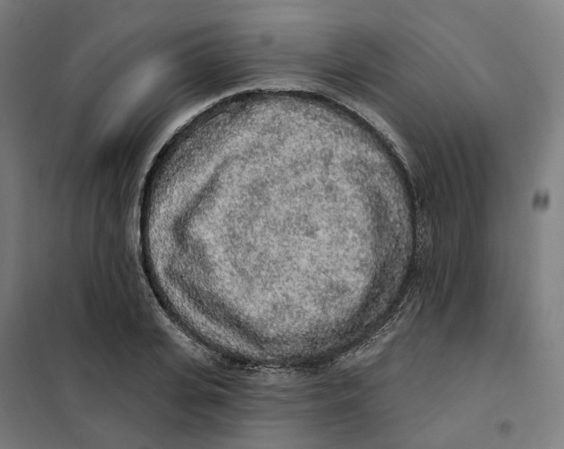 X0000101230935200807251131