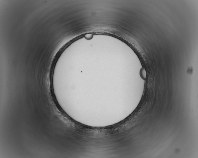 X0000101230936200807251131