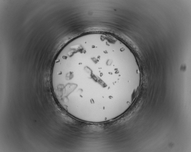 X0000101230937200807251131