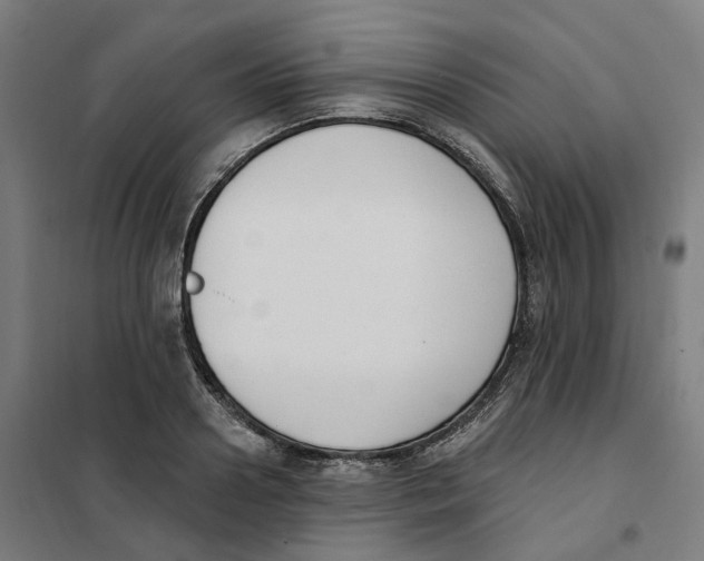 X0000101230938200807251131