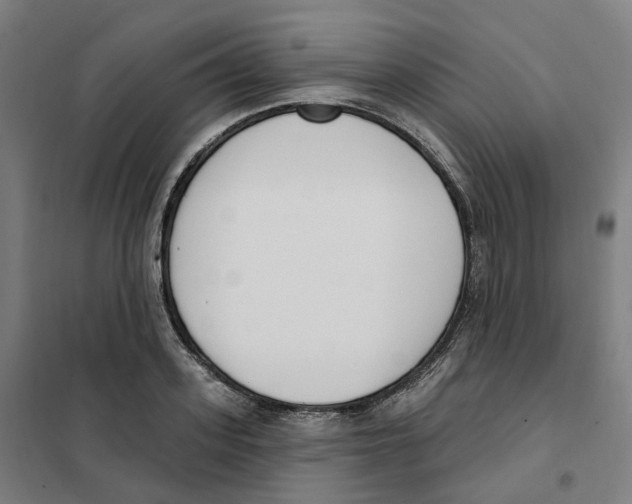 X0000101230939200807251131