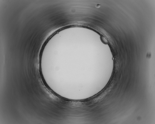X0000101230940200807251131