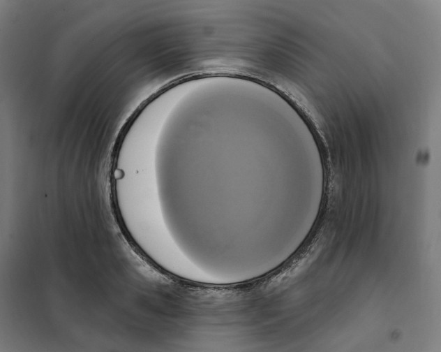 X0000101230941200807251131