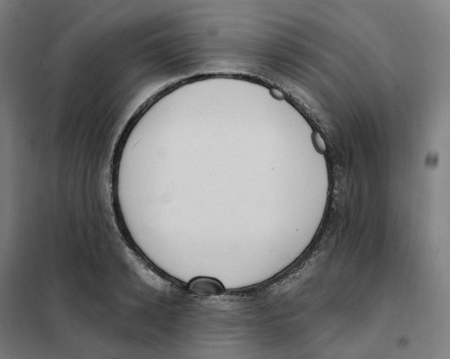 X0000101230942200807251131