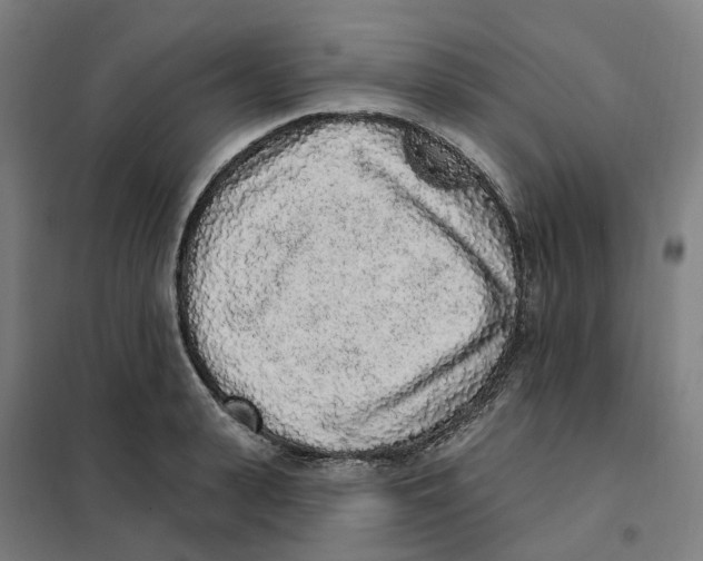 X0000101230943200807251131