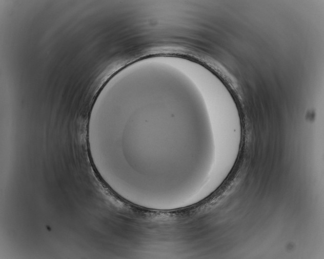 X0000101230945200807251131