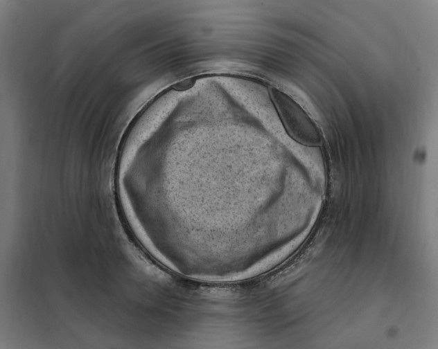 X0000101230946200807251131