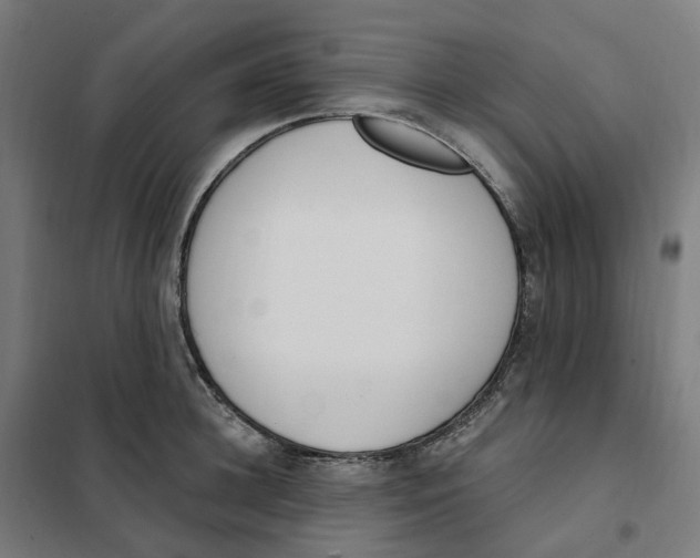 X0000101230948200807251131