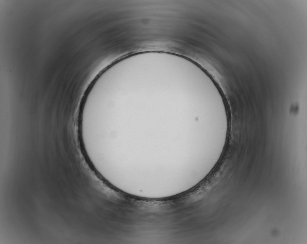 X0000101230949200807251131