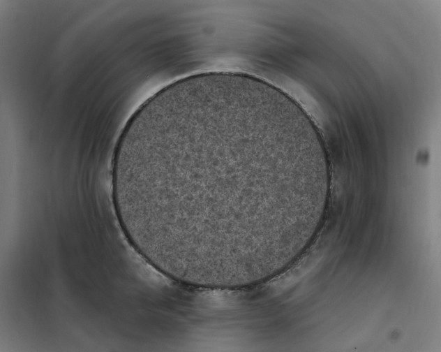 X0000101230950200807251131